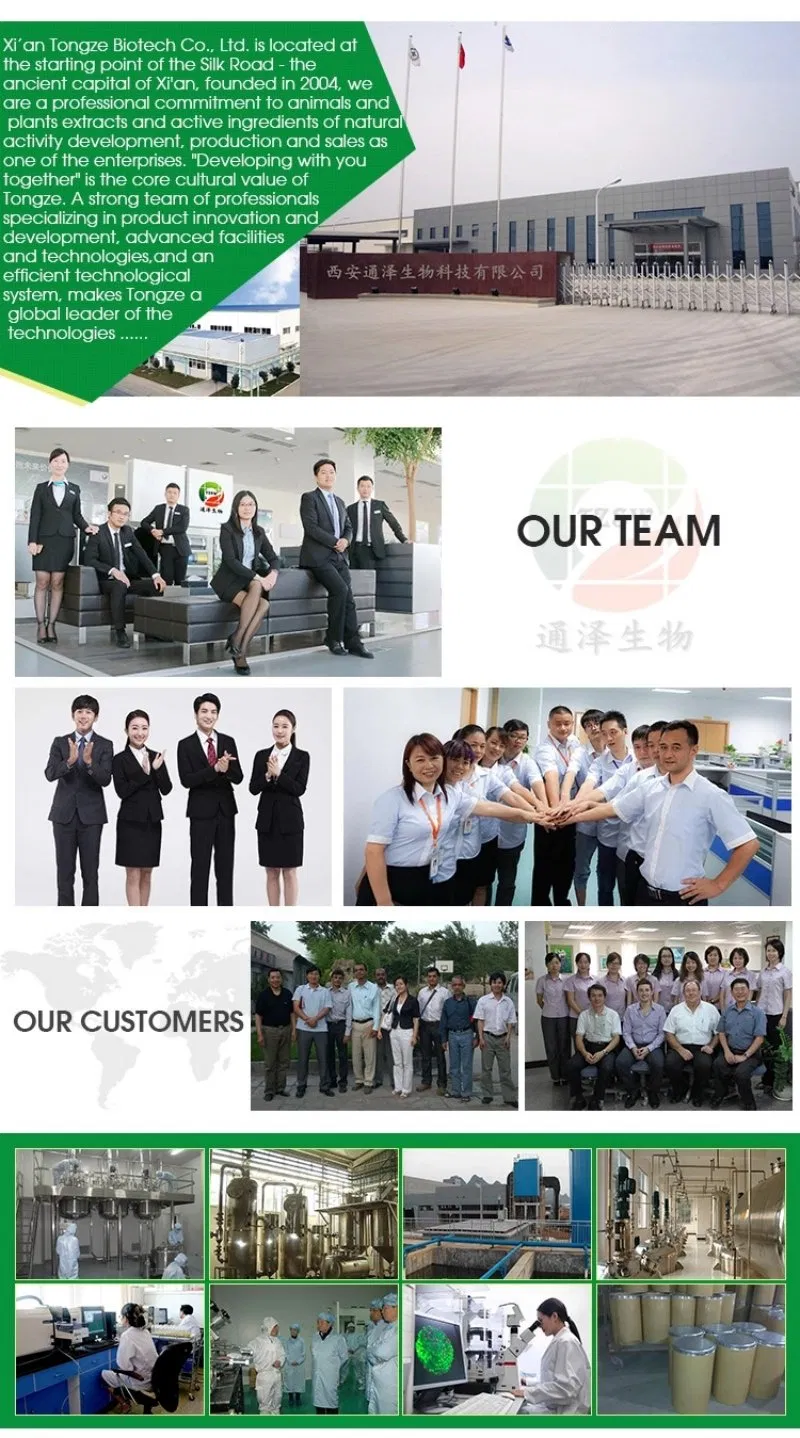 Factory Supply Yi Mu Cao Extract Motherwort Extract 10: 1 Tlc with The Best Price