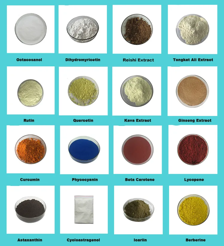 Factory Wholesale Pure Natural Organic Mushroom Powder