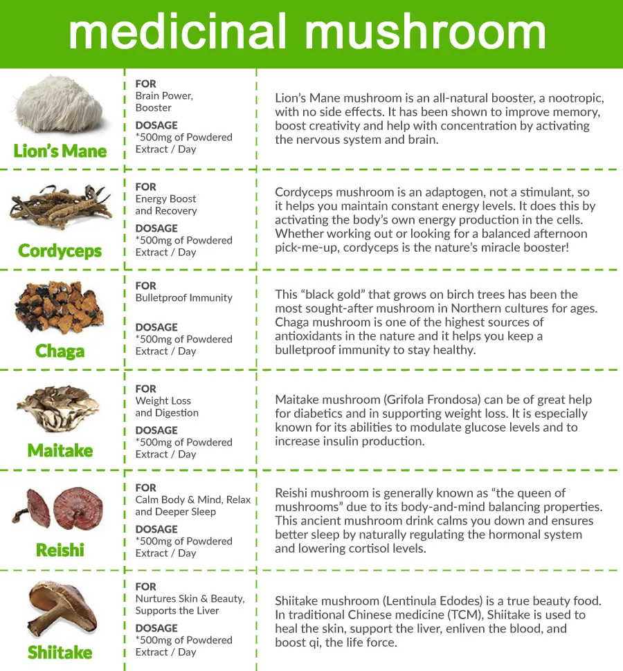 Factory Wholesale Pure Natural Organic Mushroom Powder