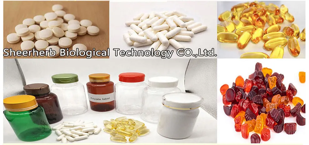 Factory Wholesale Pure Natural Organic Mushroom Powder