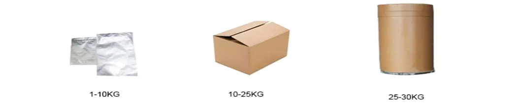 Factory Wholesale Pure Natural Organic Mushroom Powder