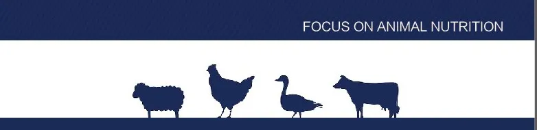 Feather Meal 82% Feed Grade with High Portein