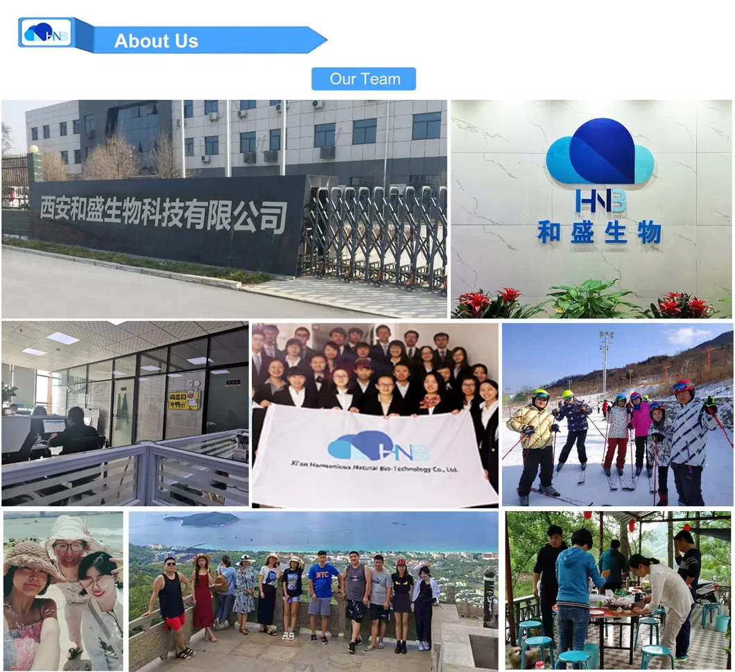 Feed Additive CAS 107-43-7 Betaine Anhydrous with Best Price