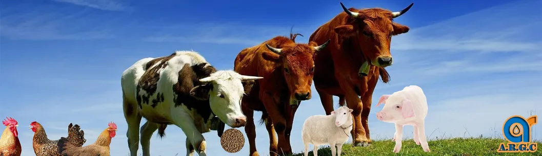 Feed Grade CAS 68038-66-4 Probiotics Products Bacillus Licheniformis Probiotics