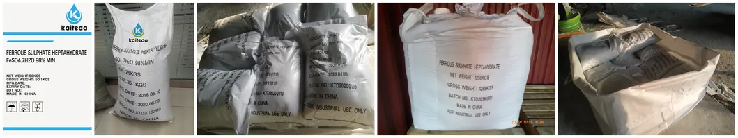 Ferrous Sulphate Monohydrate Fe 30% Feed Additives