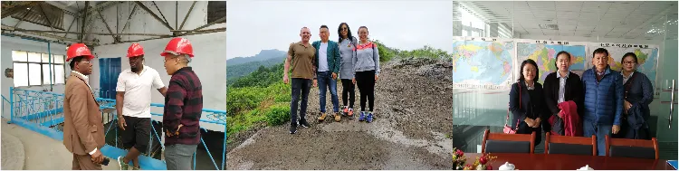 Ferrous Sulphate Monohydrate Fe 30% Feed Additives