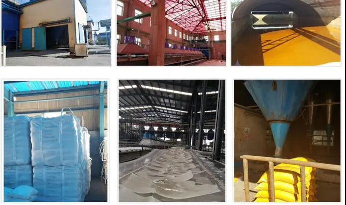 Ferrous Sulphate Monohydrate Fe 30% Feed Additives