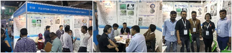 Ferrous Sulphate Monohydrate Fe 30% Feed Additives