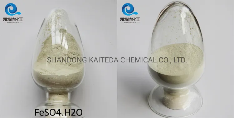 Ferrous Sulphate Monohydrate Fe 30% Feed Additives