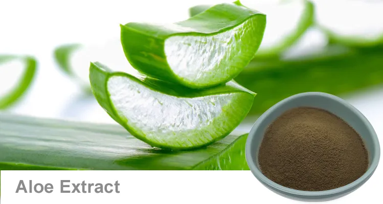 Focusherb Aloin a+B Aloe Vera Extract Powder 98% Aloin