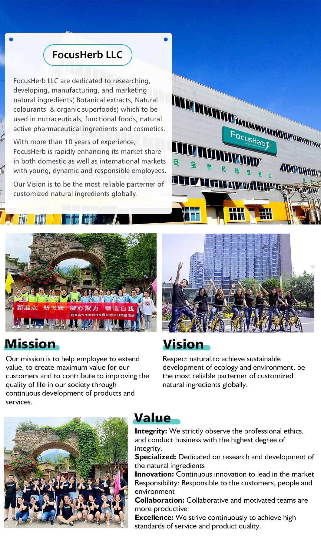 Focusherb Manufacturer Produce Ghost Mortar Extract (4: 1)