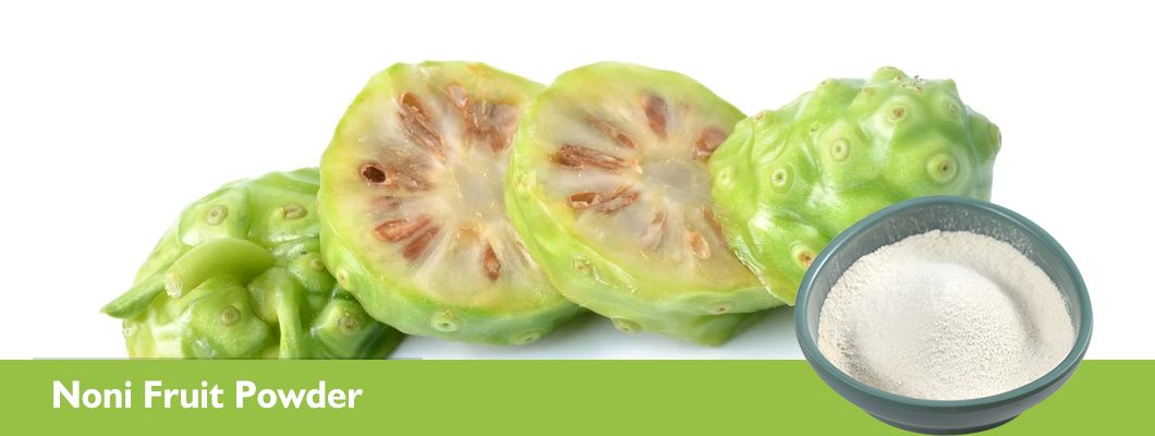 Focusherb Natural Noni Fruit Juice Powder Noni Fruit Powder