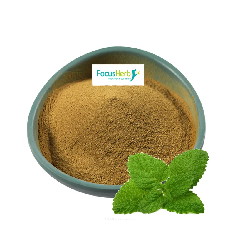 Focusherb Supply Melissa Officinalis Lemon Balm Extract Rosmarinic Acid Powder