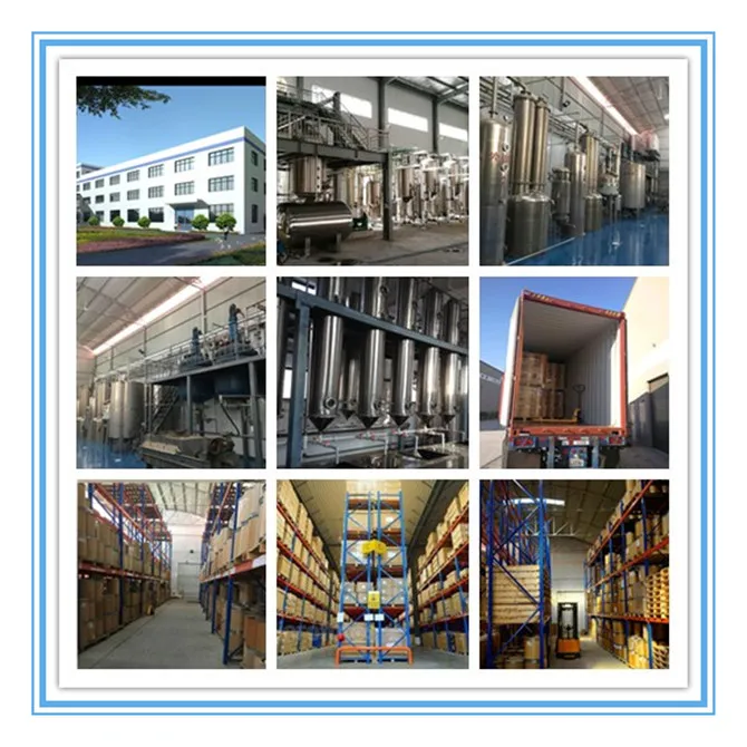 Freeze Dried Powder Pineapple Fruit Extract