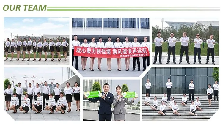 Fucus Vesiculosus Extract Powder Fucoidan