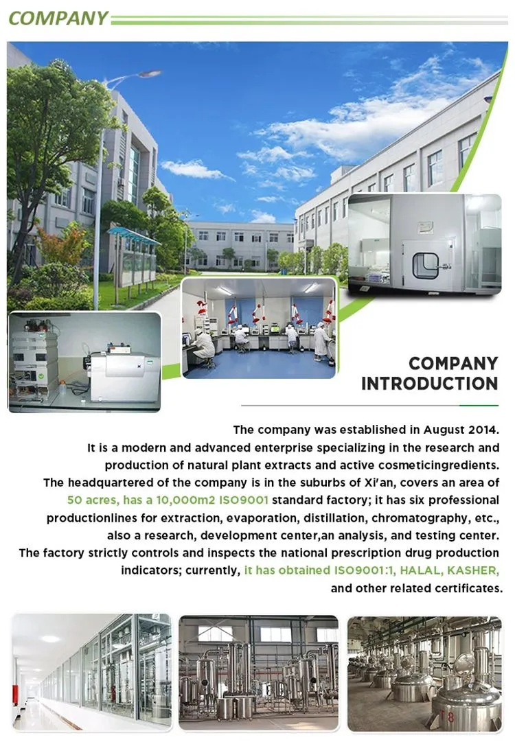 Fucus Vesiculosus Extract Powder Fucoidan