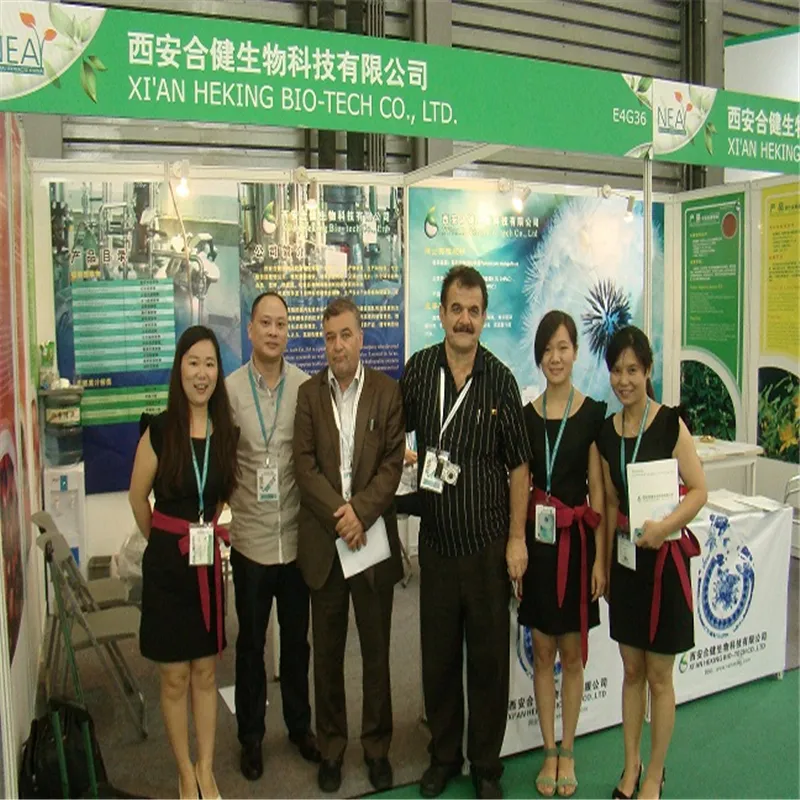 Gingko Biloba Leaf Extract Powder Flavones 24% Lactones 6%