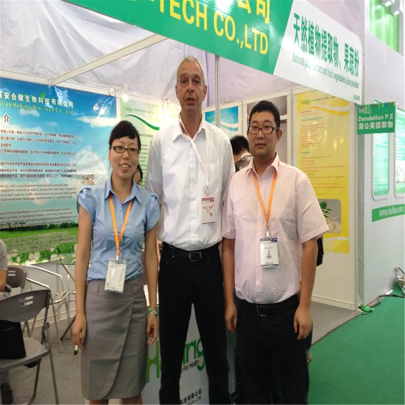 Ginkgol Biloba Leaf Extract Powder 24/6