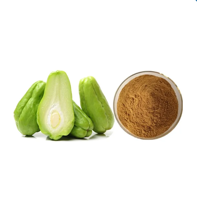 GMP sechium edule powder protein 10:1 Chayote extract water solubility