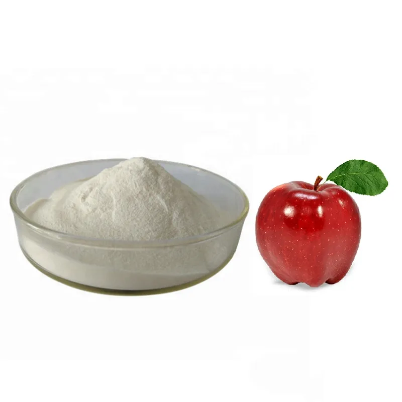 GMP Total acid 10% apple vinegar powder water solubility cider vinegar extract