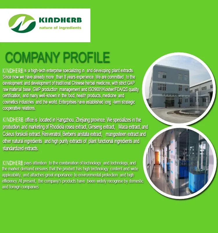 Good Quality Competitive Price ISO China Supplier Herbal Extract 10%-70% Proanthocyanidins Cranberry Extract