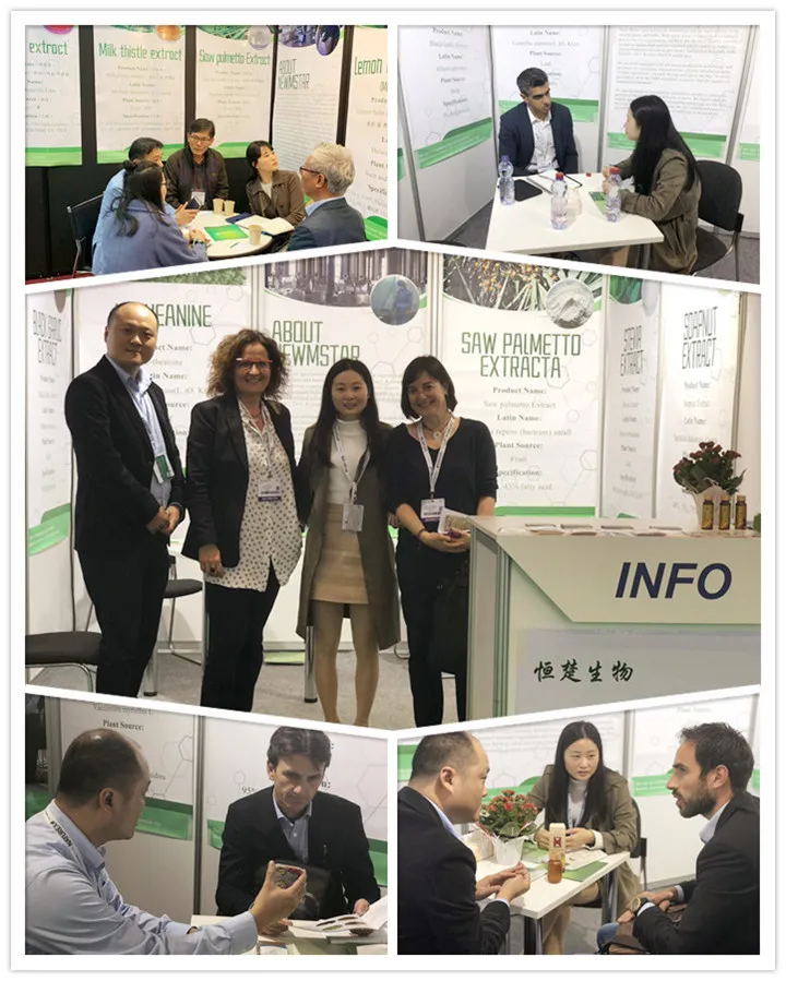 Green Tea Extract Powder, 20%, 40% L-Theanine for Weight Loss