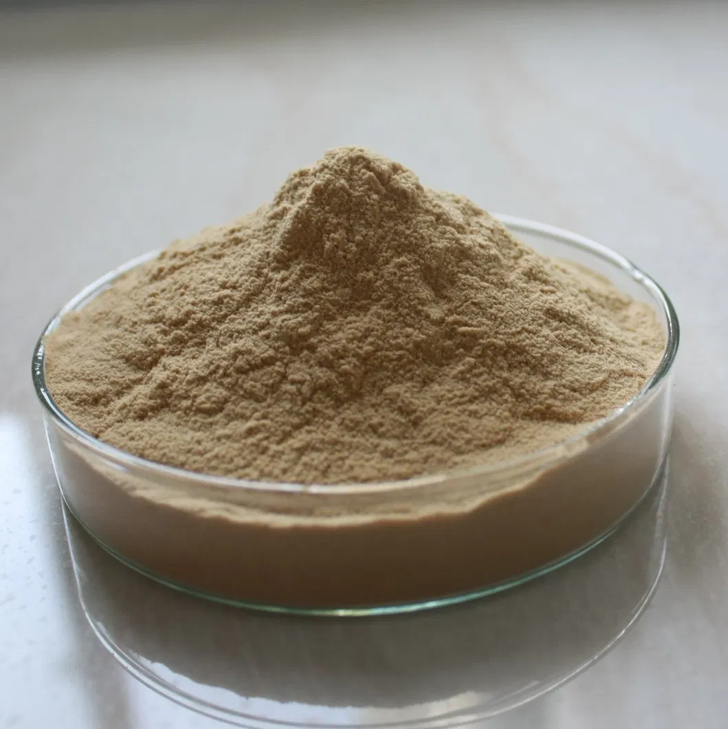 Green Tea Extract Powder, 20%, 40% L-Theanine for Weight Loss