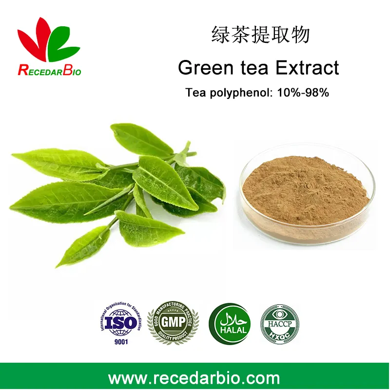 Halal 20-99% Tea Polyphenol EGCG Green Tea Extract Powder