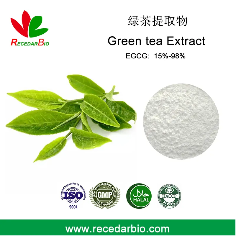Halal 20-99% Tea Polyphenol EGCG Green Tea Extract Powder
