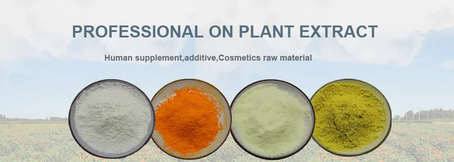 Herbal Extract for Livestock Cornel/Dogwood /Cornus Officinalis Fruit Extract