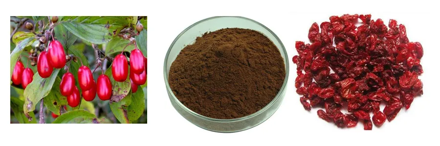 Herbal Extract for Livestock Cornel/Dogwood /Cornus Officinalis Fruit Extract