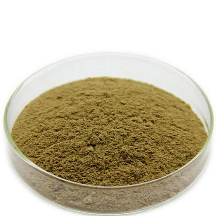 Herbal Powder Luo Han Guo Extract, Siraitia Grosvenorii Extract