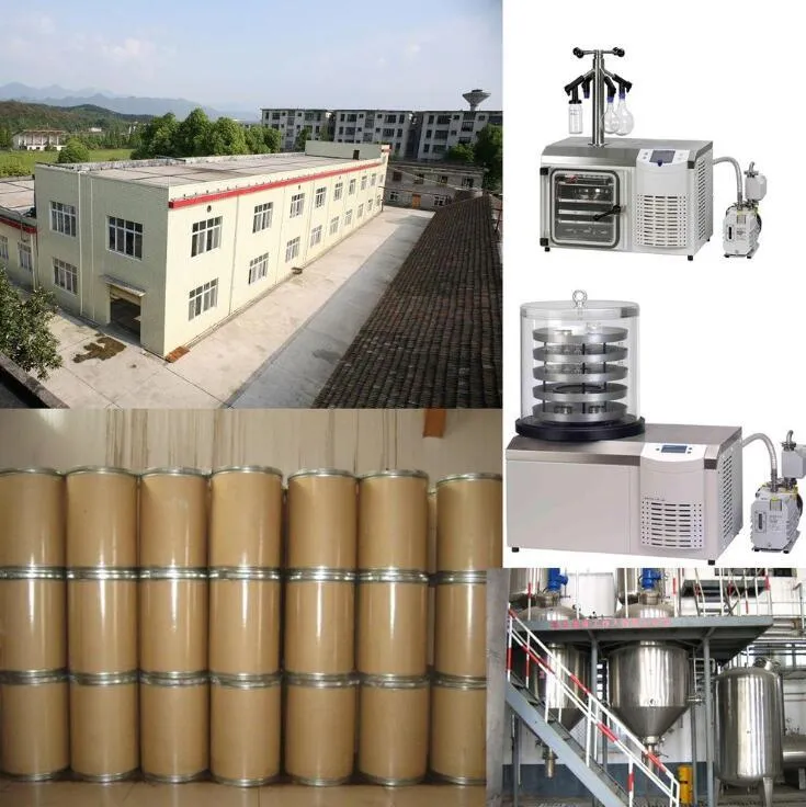 High Protein Natual Spirulina Tablets Bulk Organic Spirulina Tablet