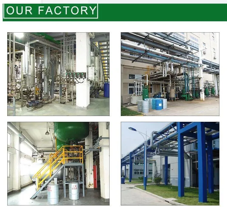 High Purity Griffonia Seed Extract 5-Htp Powder for Weight Loss