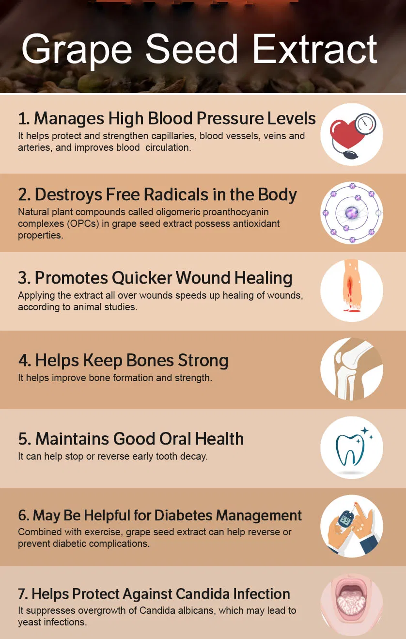 High Quality 95% OPC Grape Seed Extract Powder