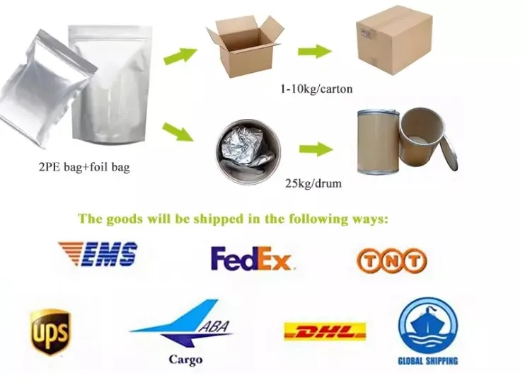 High Quality Best Price Garlic Extract Garlicin 1% Powder Allicin 1%