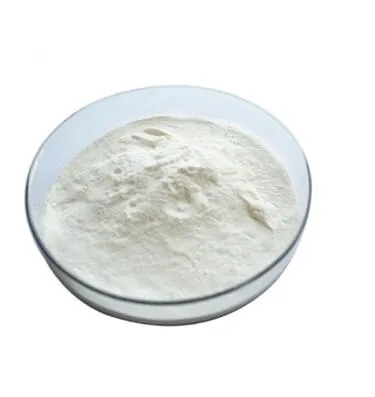 High Quality Best Price Garlic Extract Garlicin 1% Powder Allicin 1%