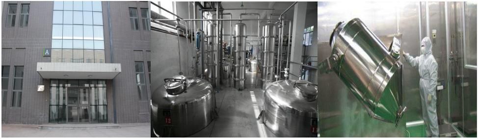 High Quality Celery Seed Extract Powder Apigenin 98%