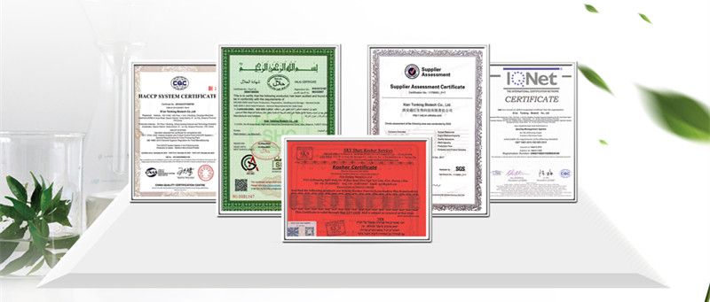 High Quality Celery Seed Extract Powder Apigenin 98%