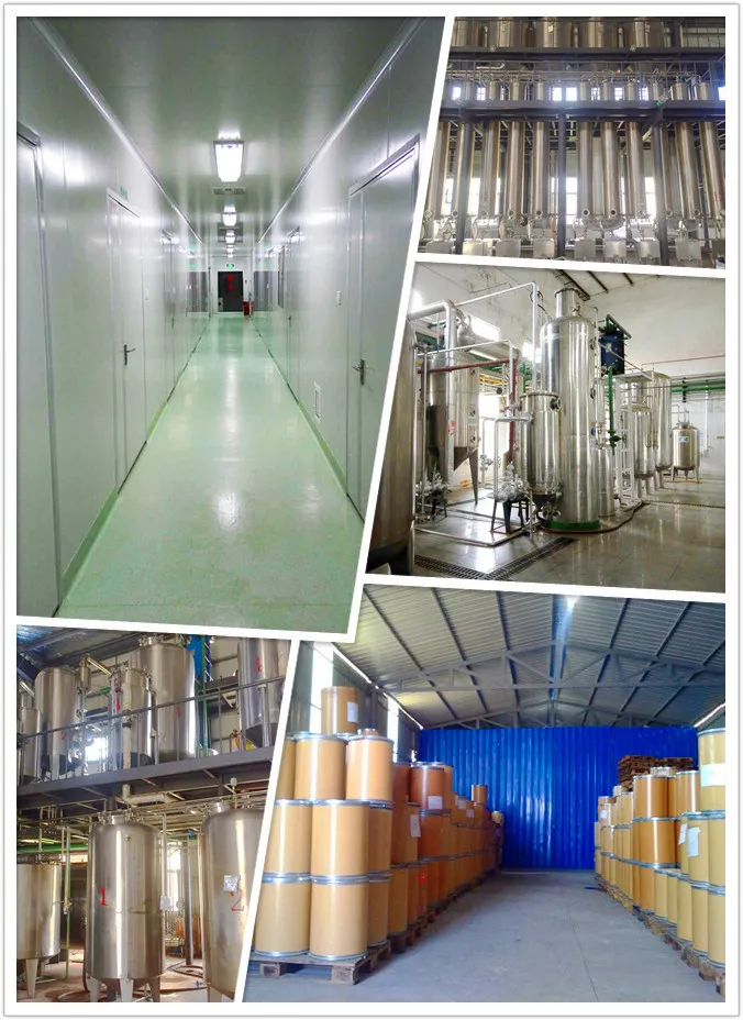 High Quality Curcuma Longa L. Tumeric Root Extract with 95% Curcumin