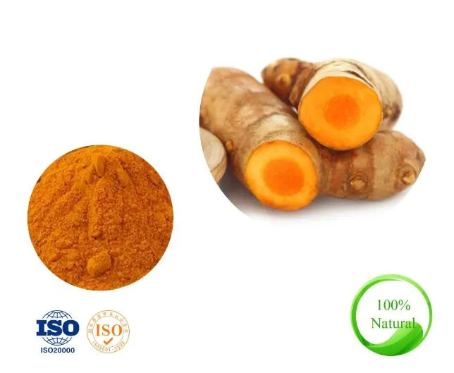 High Quality Curcuma Longa L. Tumeric Root Extract with 95% Curcumin