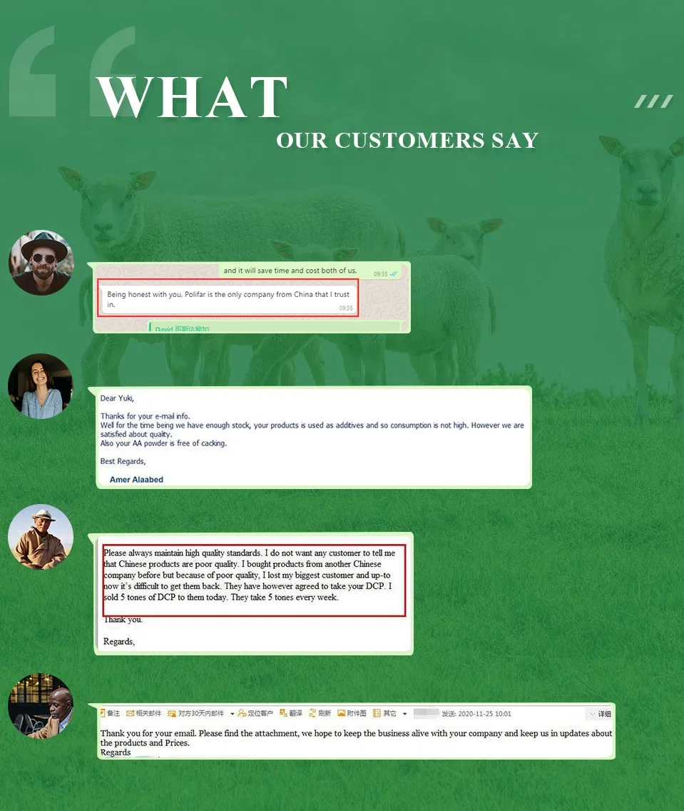 High Quality DCP/Dicalcium Phosphate Granular Feed Grade CAS No 7789-77-7