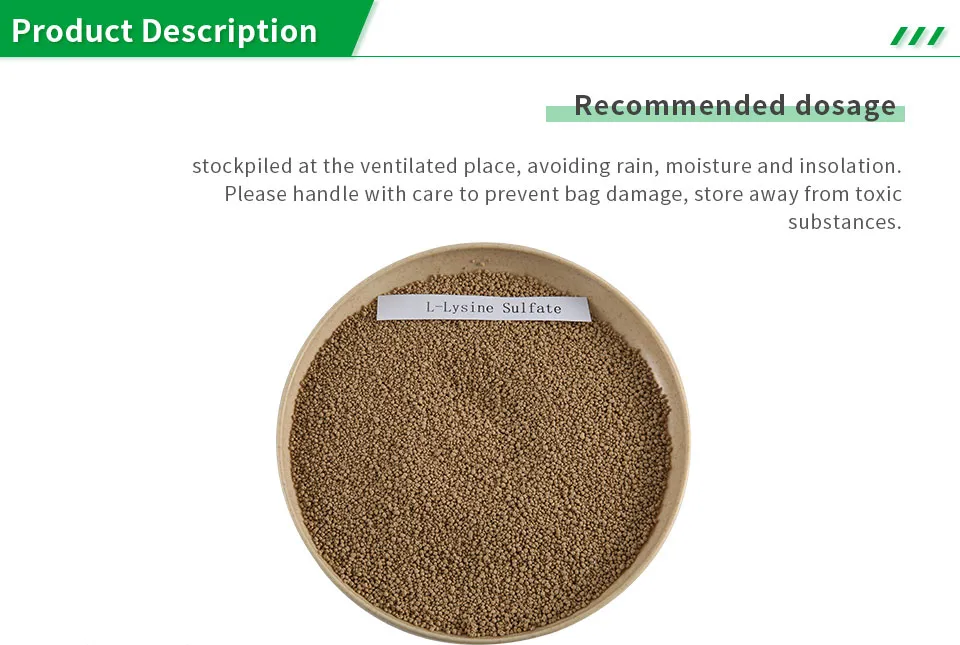 High Quality Feed Additive Lysine Sulphate 70% for Poultry
