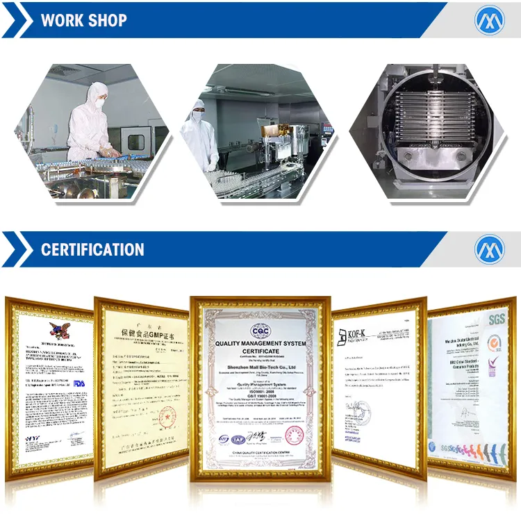 High Quality Food Grade and Industrial Grade Gallnut Extract Tannic Acid Powder