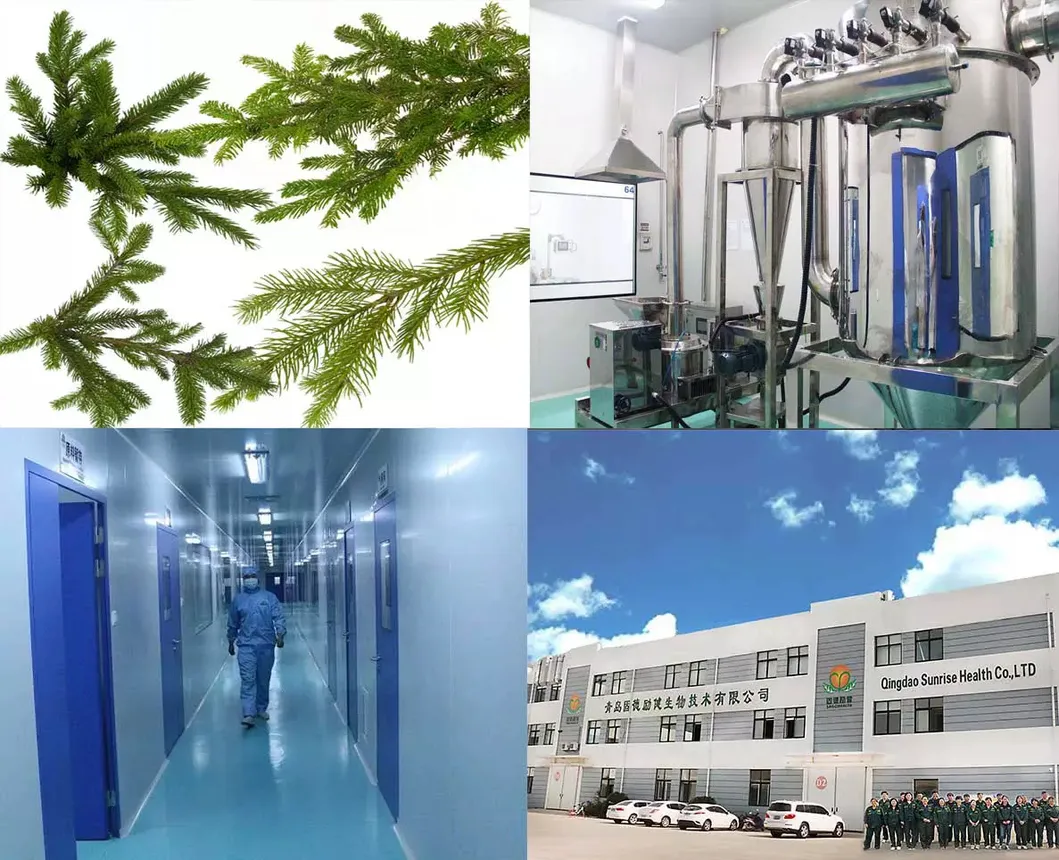 High Quality Heavy and Light Lycopodium Powder