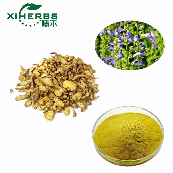 High Quality Natural Plant Extract Scutellaria Baicalensis Root Extract 90% Baicalin Radix Scutellariae Extract