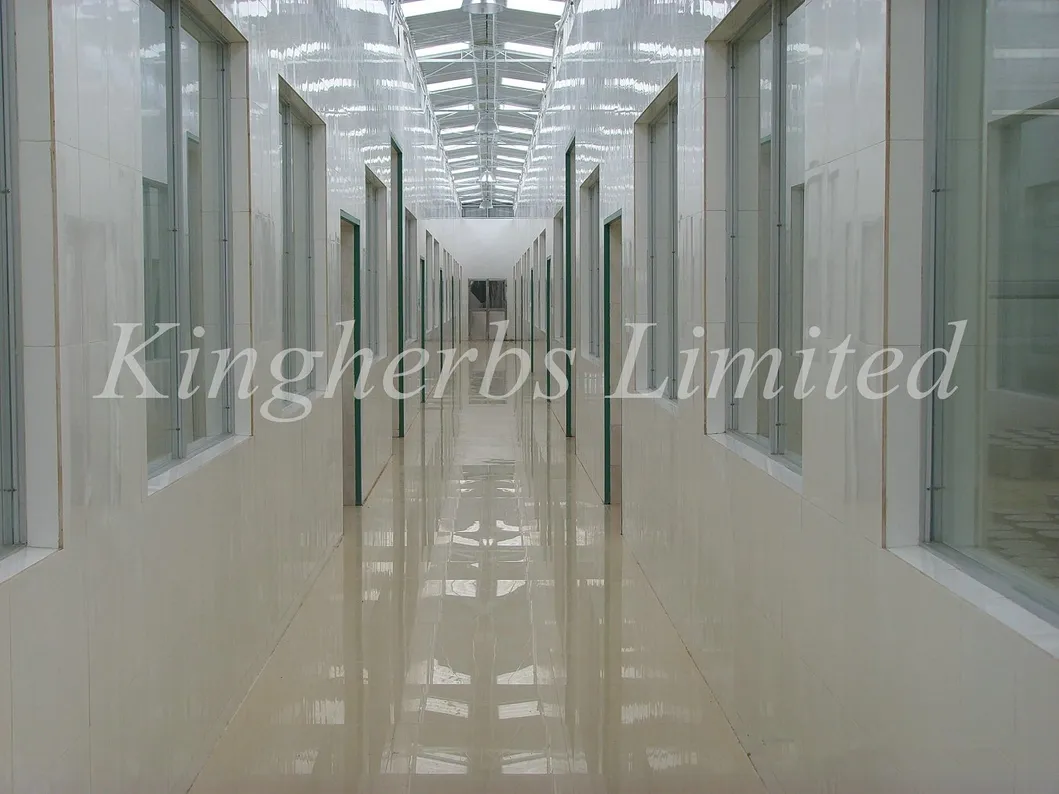 High Quality Natural Safflower Seed Oil Cold Press