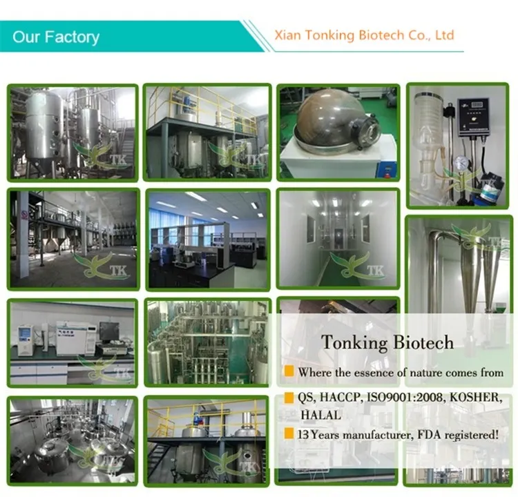 High Quality Nootropic Cdp Choline Citicoline CAS 987-78-0