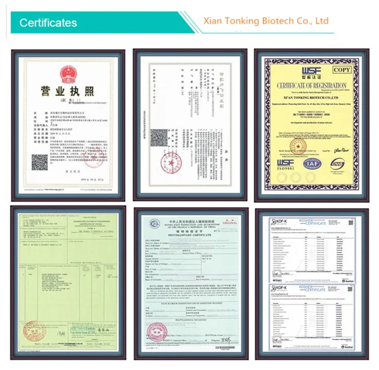 High Quality Nootropic Cdp Choline Citicoline CAS 987-78-0