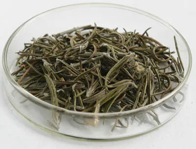 High Quality Rosemary Extract 25% Carnosic Acid